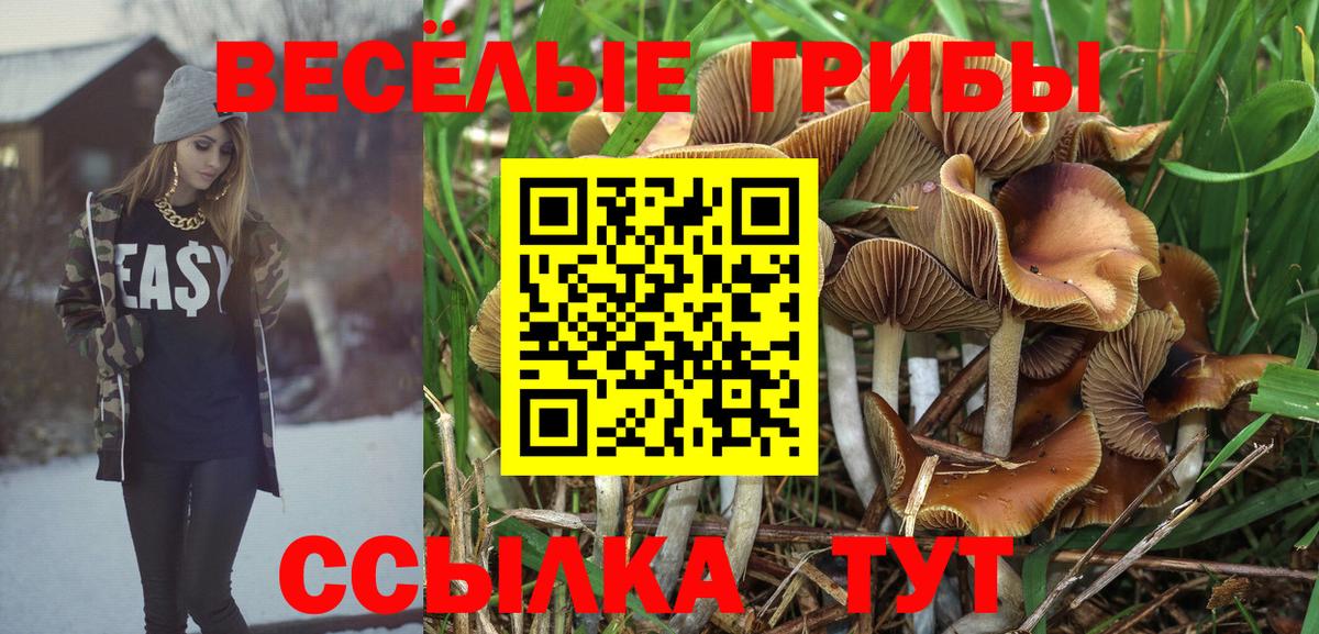 Полысаево  Галлюциногенные грибы MAGIC MUSHROOMS  где найти наркотики  Вход с VPN 