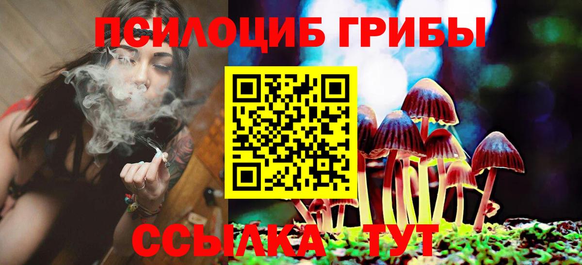 Псилоцибиновые грибы MAGIC MUSHROOMS Полысаево